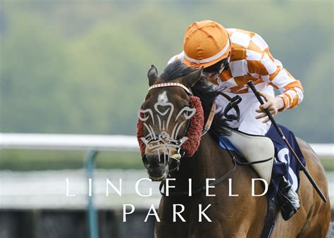 lingfield race results yesterday